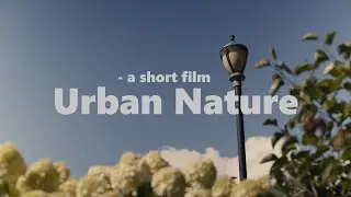 Urban Nature: a captivating short film