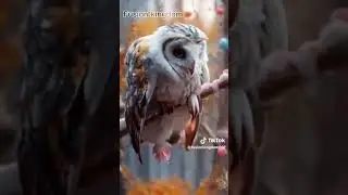 Candy+Animals Incredible Animal Fusion: Mind-Blowing Creatures Formed by Fusing Different Species