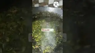 #SarsoSaag  #Greensaag #Kitchenqueen🥦🥦🥬🥬🌱🌱💚🥗🥗🥗🥗🥗🥗💚💚🥗💚🥗🥰🥰🥰😘😘😘🧡💙🤎❣️❤💚💚💚💚💚