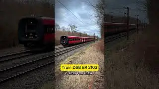 Train DSB ER 2103 🇩🇰