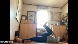 Bird of paradise flow