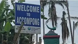 The accompong maroons 288 years of celebration of peace treaty with the british