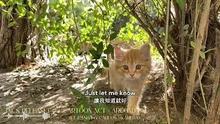 Cartoon, NCT - Around Us (ft. Pasha & Carlos Ukareda)🎧🎶好聽歌曲中英歌詞English&Chinese Lyrics Work Study BGM