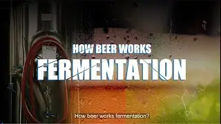 How beer fermentation tanks work