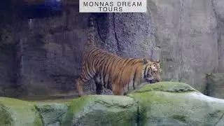 MONNAS SAPANCA
