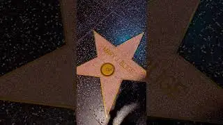 Hollywood Walk of Fame at night.
