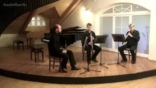 L. van Beethoven - Variations on 'La ci darem la mano' from Don Giovanni by Mozart