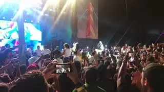 Te Bote Remix - Bad Bunny | Isle Of Light Festival