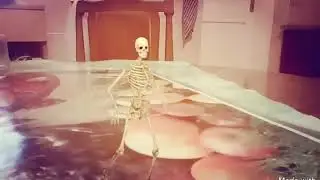 Skeleton - Despacito