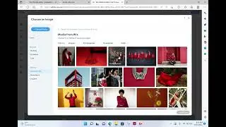 Birt Arena Video Tutorial 2