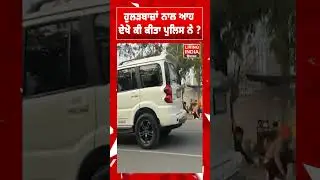 ਹੁਲੜਬਾਜ਼ਾਂ ਨਾਲ ਆਹ  ਦੇਖੋ ਕੀ ਕੀਤਾ Police ਨੇ ? Patiala News | Patiala Traffic Police