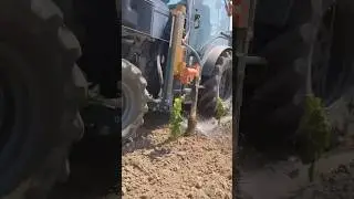 Root Irrigation of Burgundy Young Plants | Winemaking and How Wines is Made! #shorts #fyp
