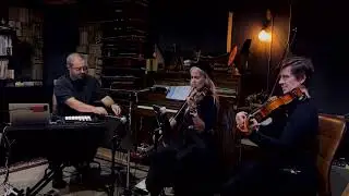 🌊 From the deep 👑The Royal Fox Society🦊 (rehearsal)