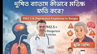 দূষিত বাতাস কি ডিপ্রেশন বাড়ায়? | PM2.5 কীভাবে মস্তিষ্ক নষ্ট করে | Bangla Health।বিজ্ঞান কী বলছে?
