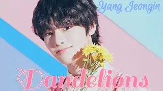 Yang Jeongin | Dandelions | FMV