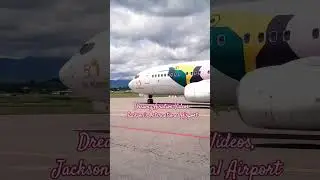 Boeing 737-800, Air Niugini Papua New Guinea ✈ 🇵🇬