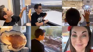 Michael&rsquo;s field trip 🚌/Sick with a cold 🤧/Lion Diet🦁/Family post-Halloween plans 🎃