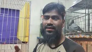 17/1/26 ইনশাল্লাহ আজকে কিনুন ৫ পিস হাই কোয়ালিটি দেখার মত মাদি। 01682234365 ##