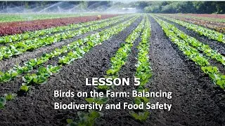 Birds on the Farm: Balancing Biodiversity and Food Safety Webinar