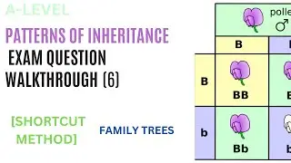 SHORTCUT method for FAMILY TREE exam questions pt.6 | A-level Biology