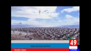 jarri haider Live Stream
