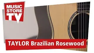 TAYLOR Guitars Brazilian Rosewood Gitarren aus Rio-Palisander