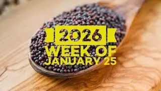 WUC Virtual Sunday Service on January 25, 2026, led by Traci Hubbard