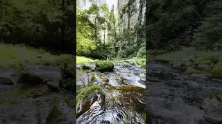 calm and ambient relaxing views and music #nature #springcolors #lushgreenfields #lushgreen