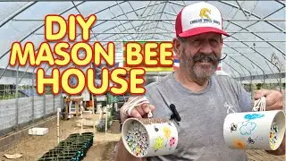 🐝 Save the Bees! DIY Mason Bee House That Works