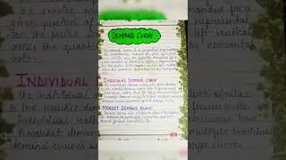 Class-11 Economics Project on demand with pdf #shots #projects