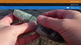 Madotachi Hanitas Plus Swimbait 2 Oz