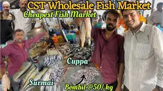CSMT Fish Wholesale Market | Machli Hui Sasti ? | Mumbai Fish Market CSMT | Diwali Offer | Fish |