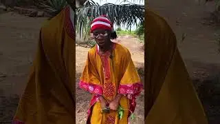 HABENBE and senator plug wahala again