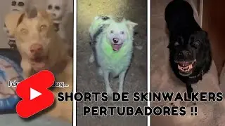 VIENDO SHORTS DE SKINWALKERS !! Tengo Miedo! | Skinwalker Disguised as Amimals - SAYDITA