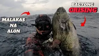 BAGYONG 'CRISING' || MALAKAS NA ALON! || SPEARFISHING PHILIPPINES CATCH N' COOK!