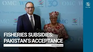 Fisheries Subsidies: Pakistan&rsquo;s acceptance