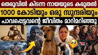 വിശ്വസ്തനായ ആ നായ അവനെ സമ്പന്നനാക്കി!! നാട് മുഴുവൻ ഞെട്ടി!! | The Loyal Dog and the Hidden Treasure 