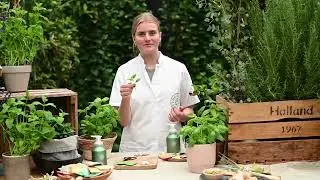 The Green Lab Co. Handzeep Tabletten Basilicum