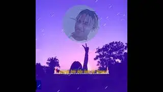 Wild pack PNG _