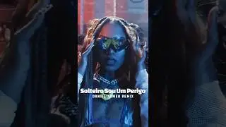 Marshmello, Tropkillaz, Mc Delux - Solteiro Sou Um Perigo (Daniel Tomen Remix)