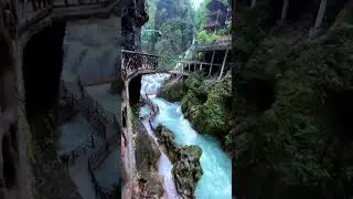 #NatureHD #BeautifulNature #NatureLovers #NaturePhotography #HDNature #NatureShots #ScenicViews