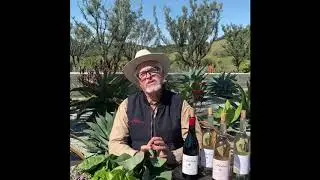 Hudson Greens & Goods
