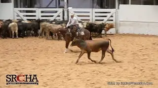 Clinton Anderson and Hulk: 2020 SRCHA Pre-Futurity Herd Work