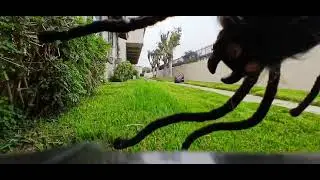 Jorge's lawn mowing services working sanny day.
