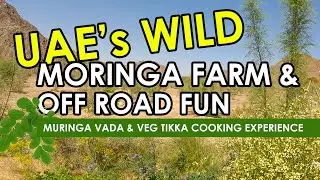 Wadi Asimah Fujairah | Wild Moringa farm | Off-road 4x4 trip | Hidden places in UAE | Spot cooking