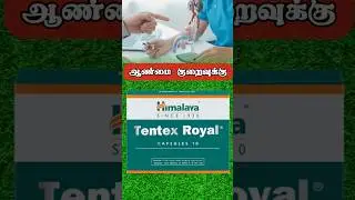 Применение капсул Himalaya Tendex Royal на тамильском языке #шорты