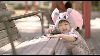 Count the Leaves - Elephant (Official Music Video)