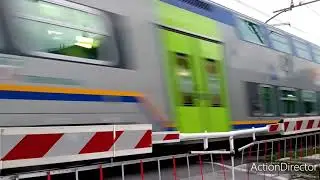 TRENI A VIAREGGIO