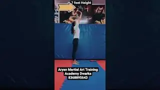 Karate Taekwondo Mixed Martial Art Classes Dwarka Delhi