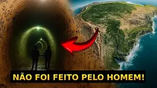 Cientistas encontram t&uacute;neis colossais pr&eacute;-hist&oacute;ricos no Brasil